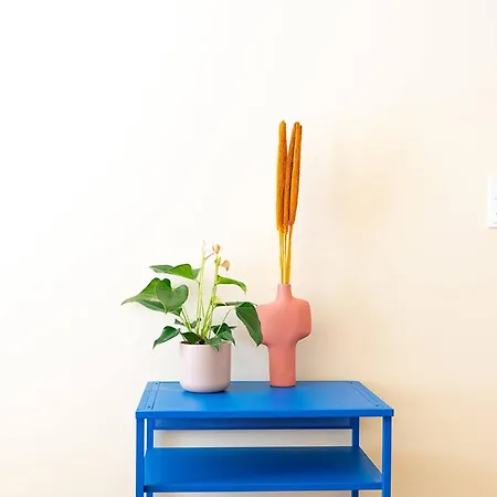 Hinterhaus Traeumchen Auf Der Karl-liebknecht In Leipzig